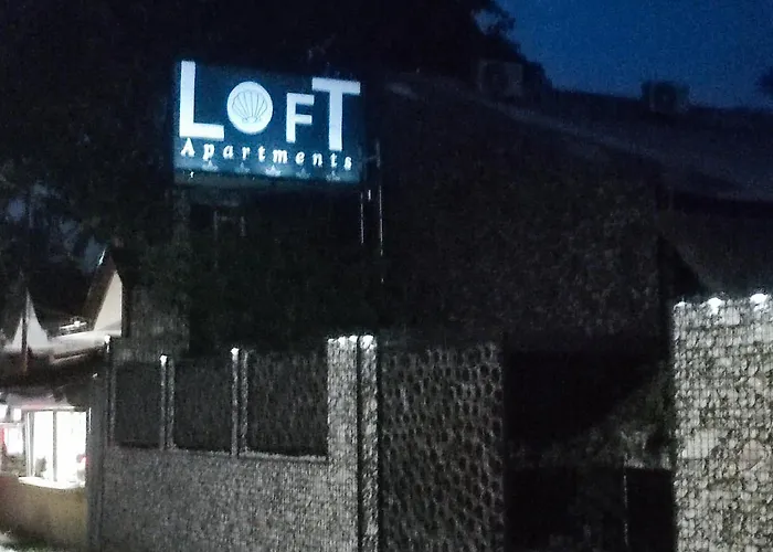 Apartment Loft